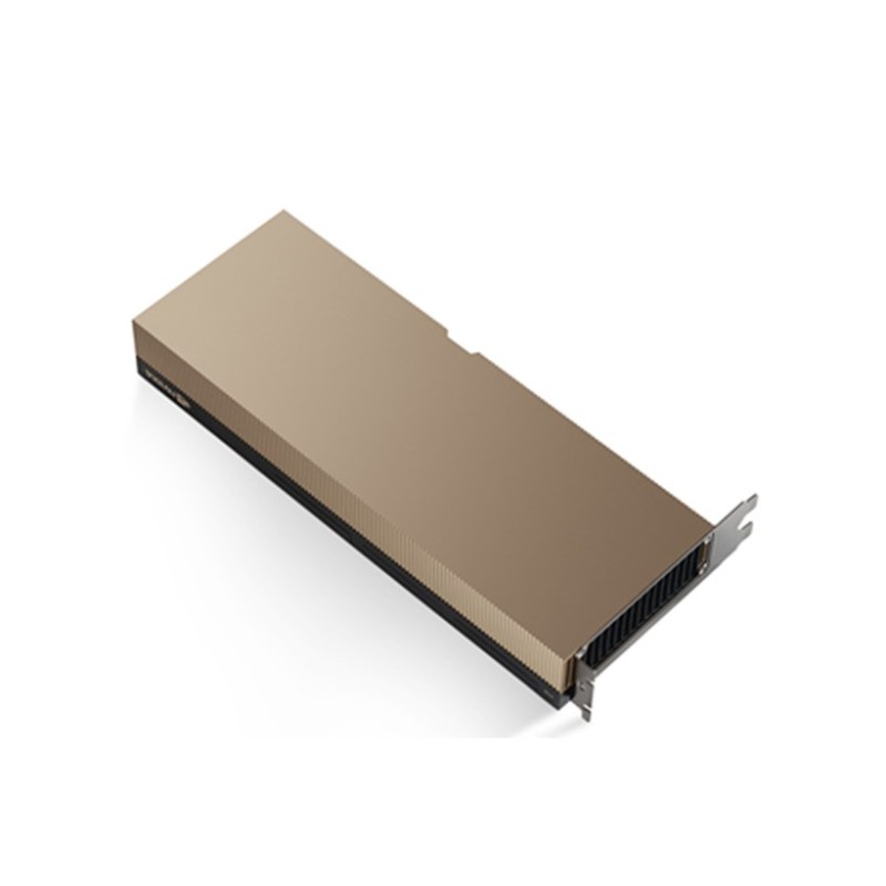 Advantech SKY-TESL-H100-80P