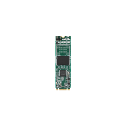 Advantech SQF-S8BV2-256GDBEC