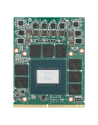 NVIDIA MXM-GPU-Karten