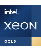 Intel Xeon