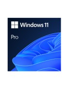 Windows 11 Pro